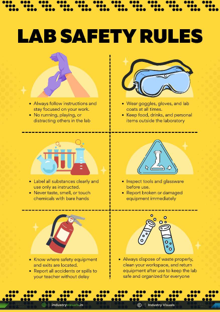 Lab Safety Rules – Infographic